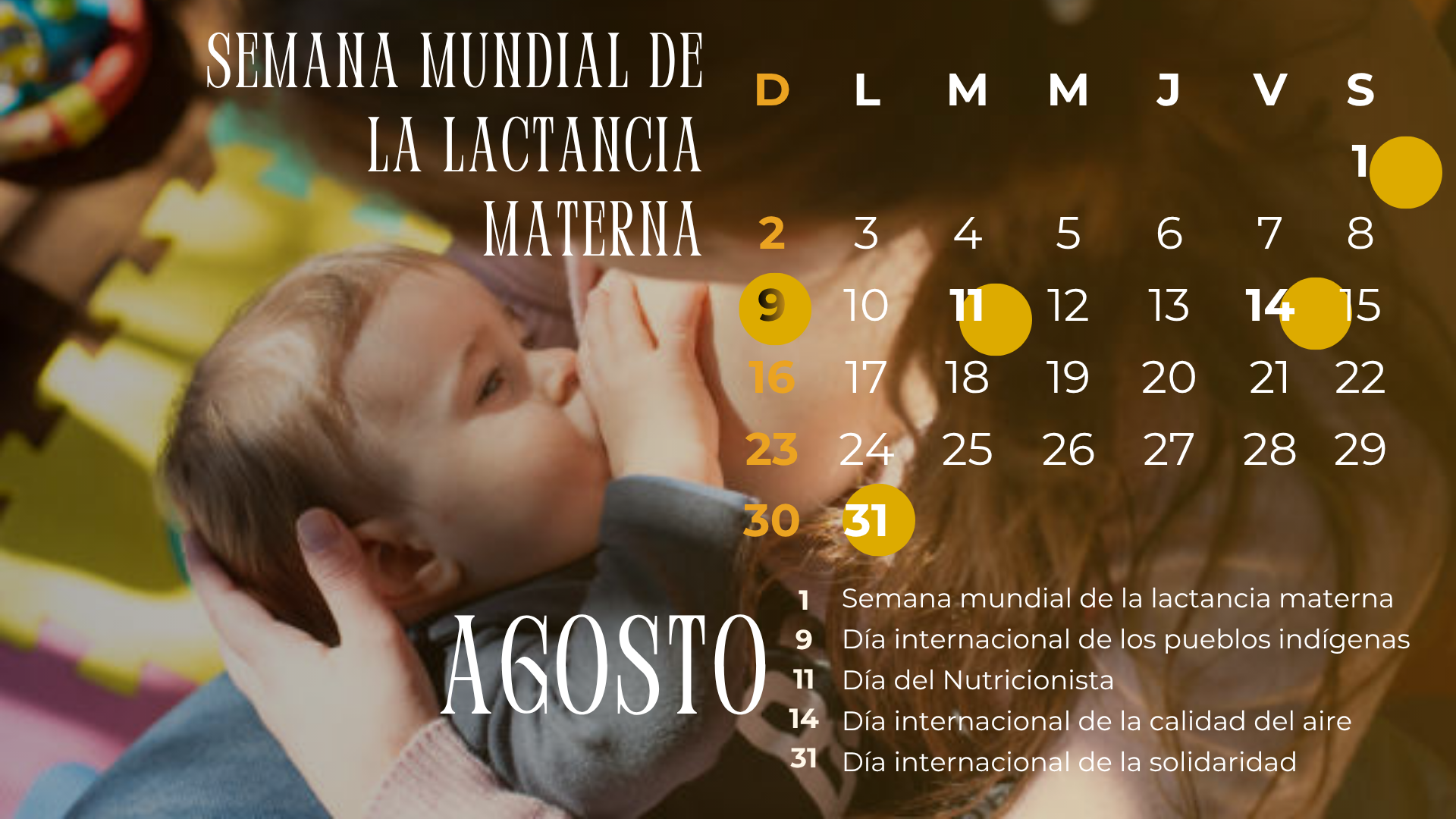 AGOSTO 2026
